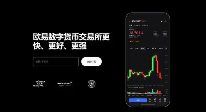 AVAX官方钱包下载页面展示